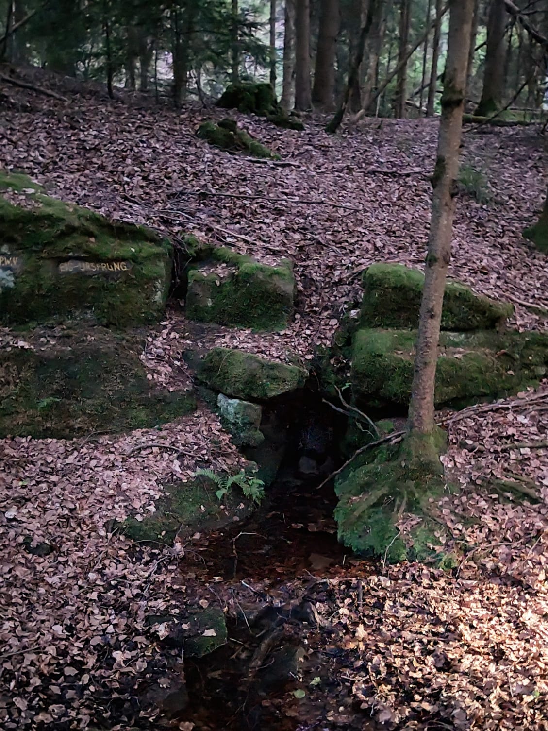 Abendwanderung 02
