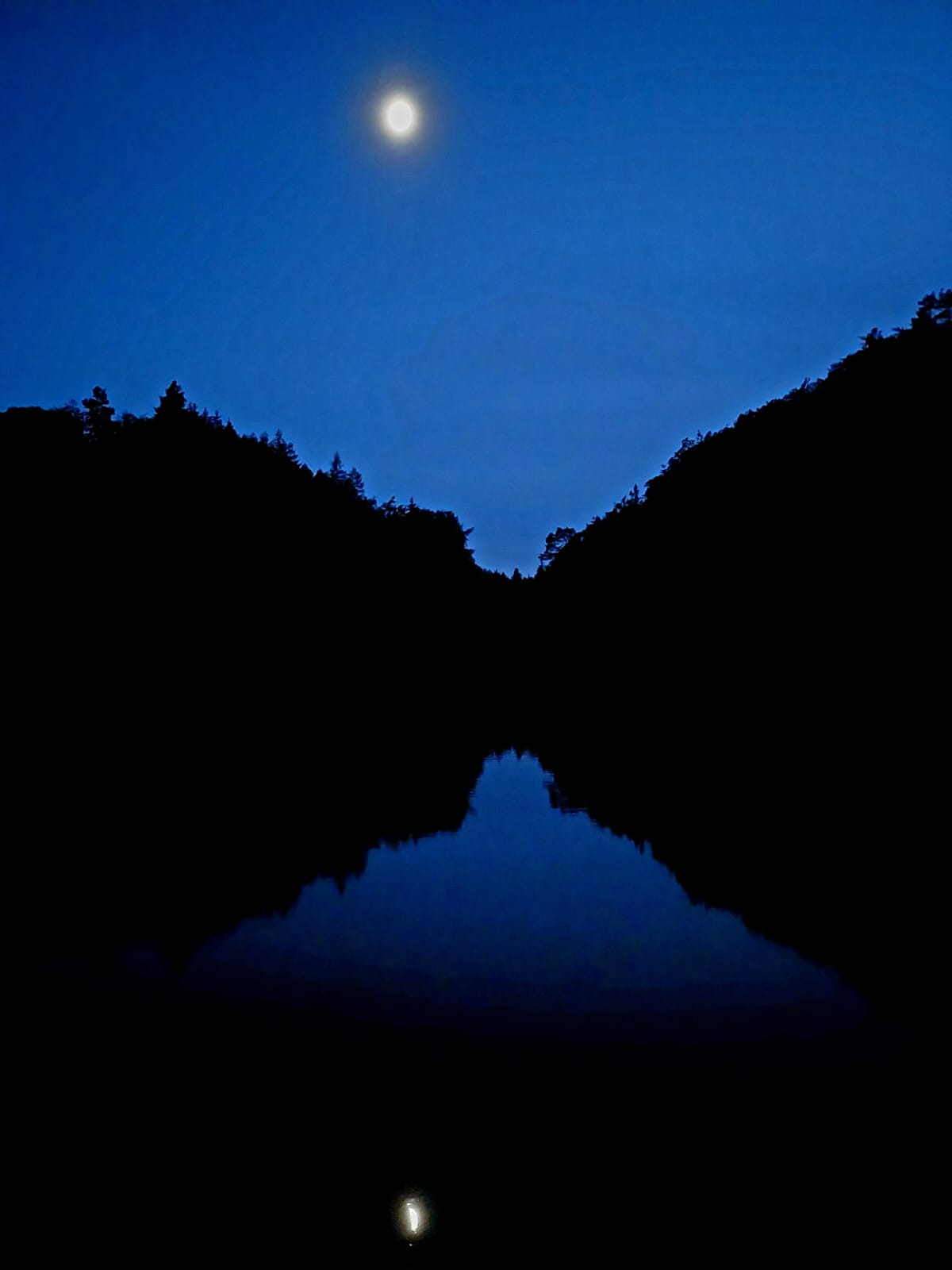 Abendwanderung 04