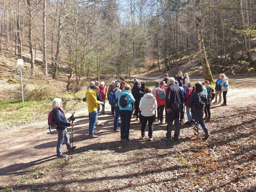Frühjahrswanderung 03 2025