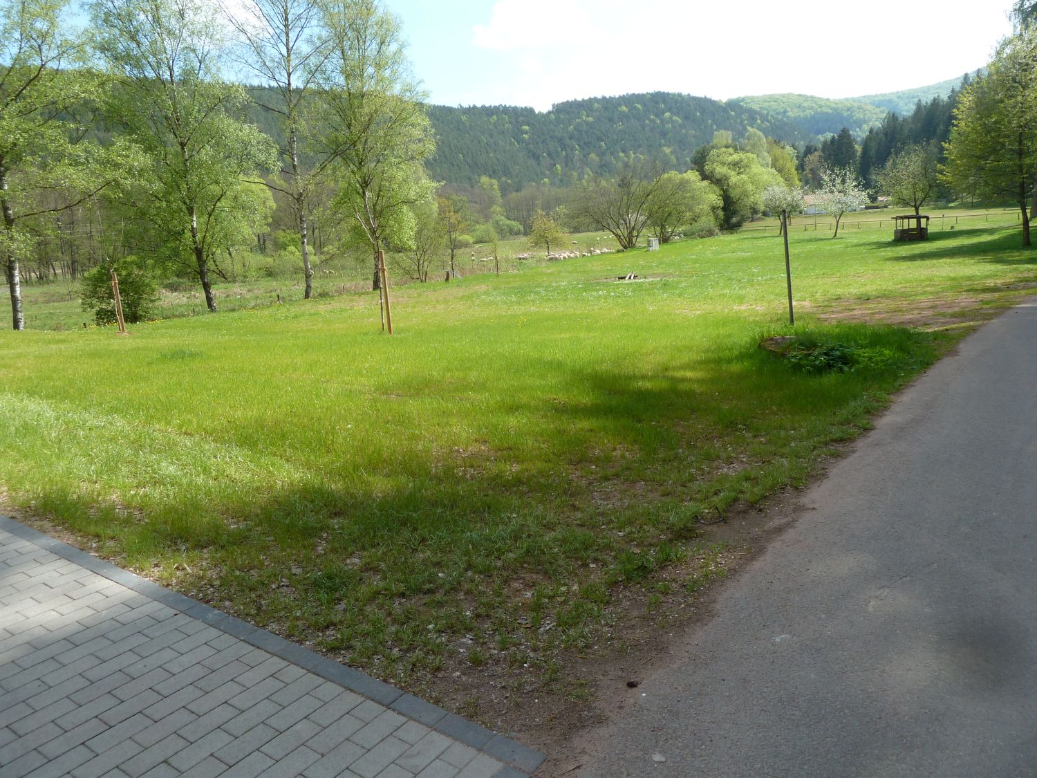 Niederschlettenbach01