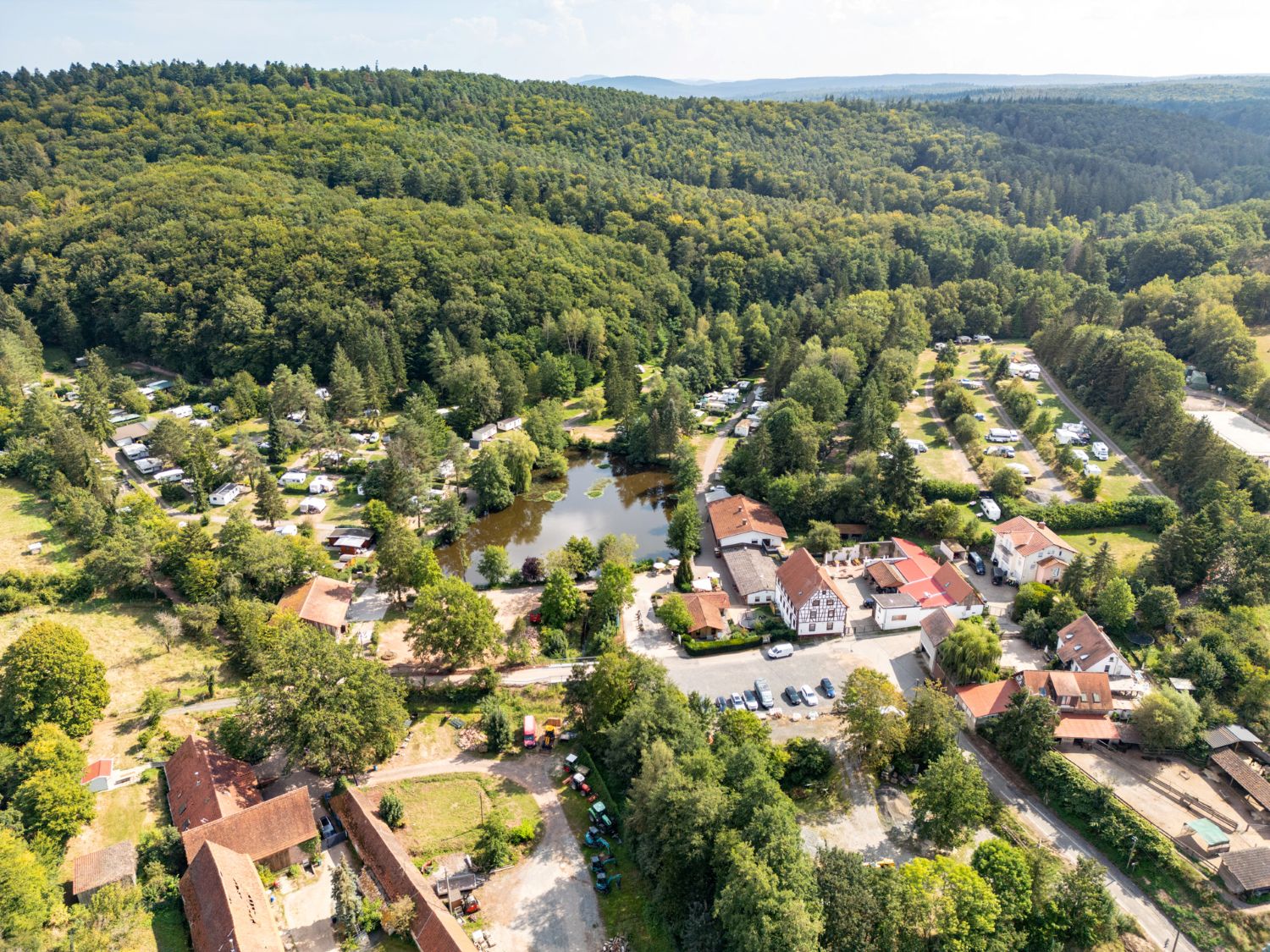Waldglück 02